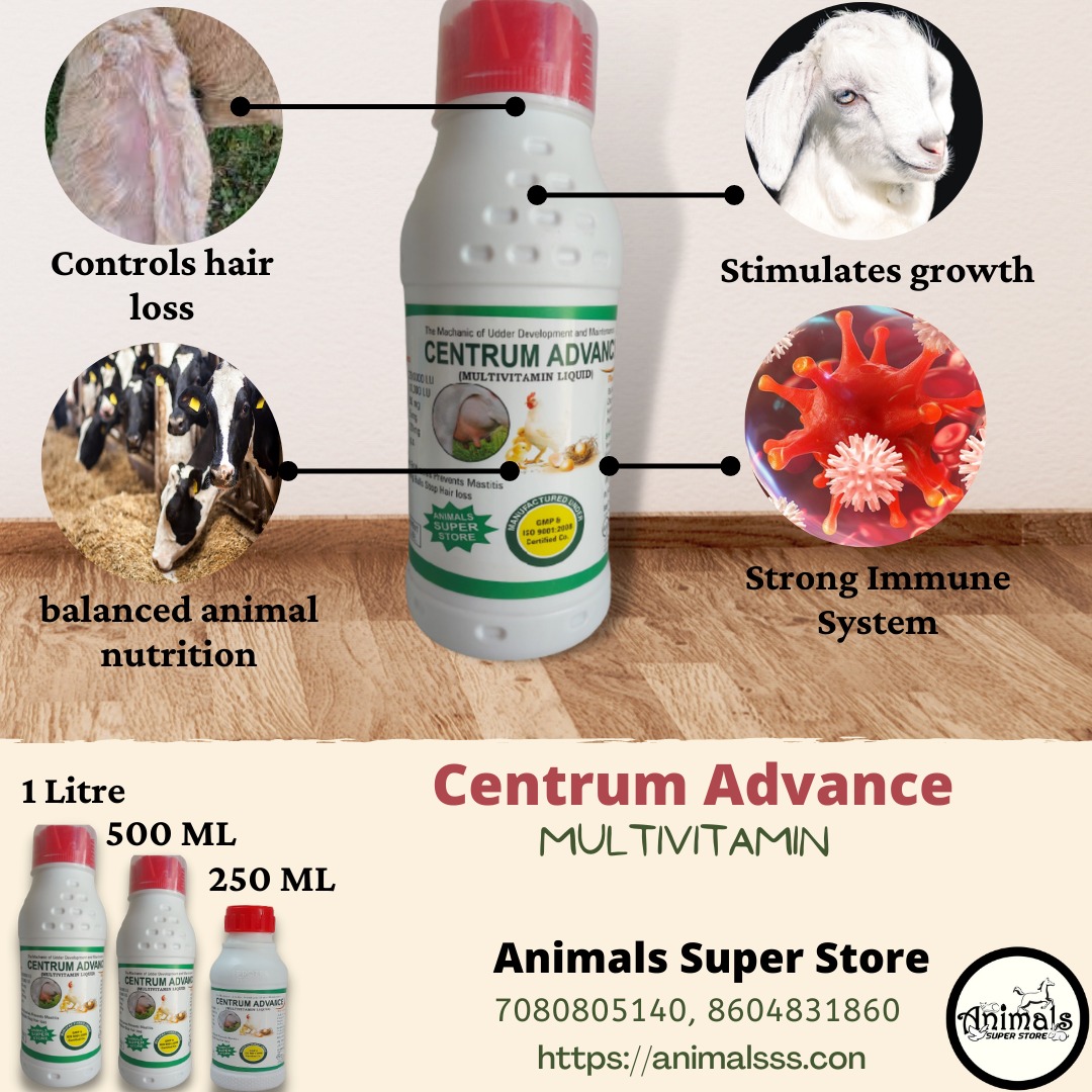 Centrum Advance