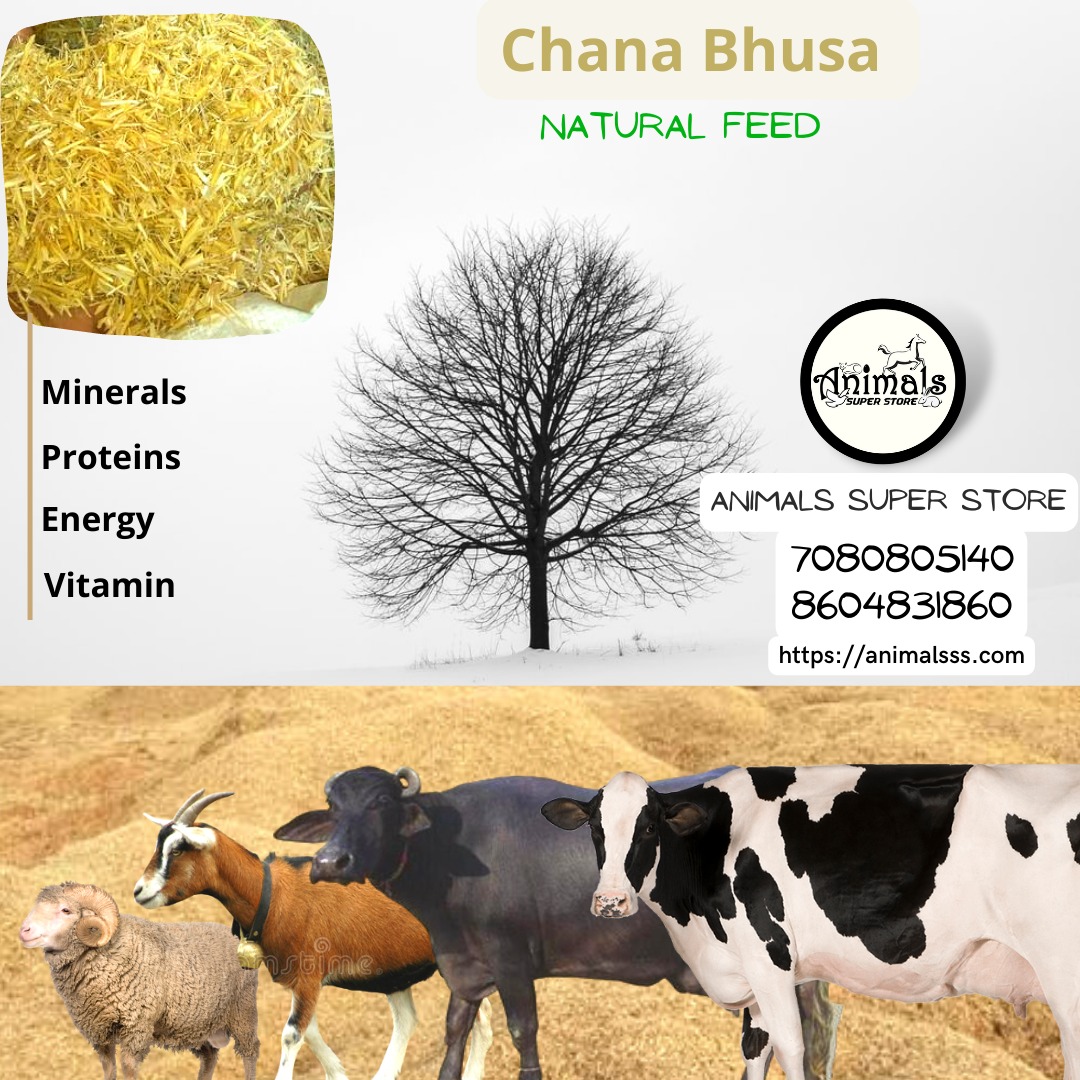 Chana Bhusa