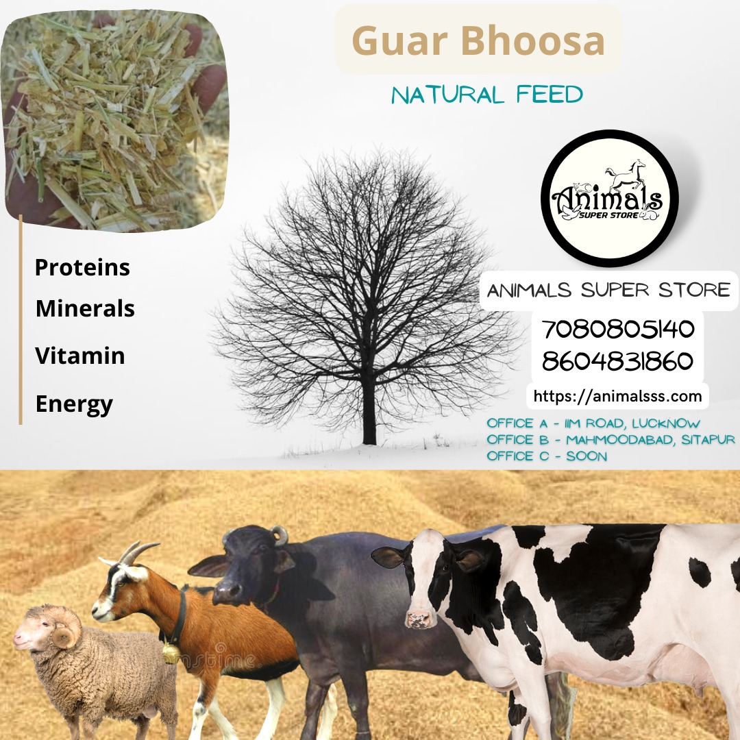 Guar Bhoosa
