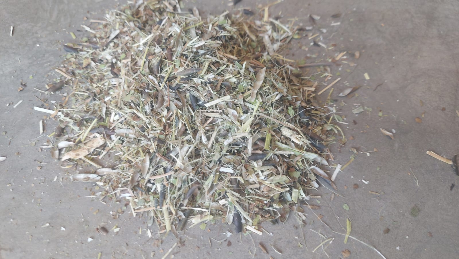 moong bhoosa